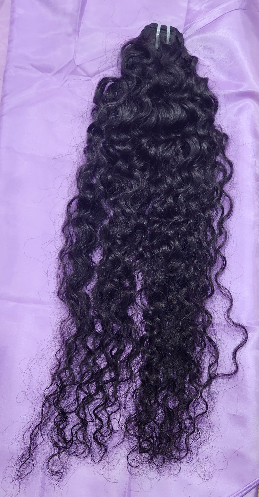 Burmese Curly